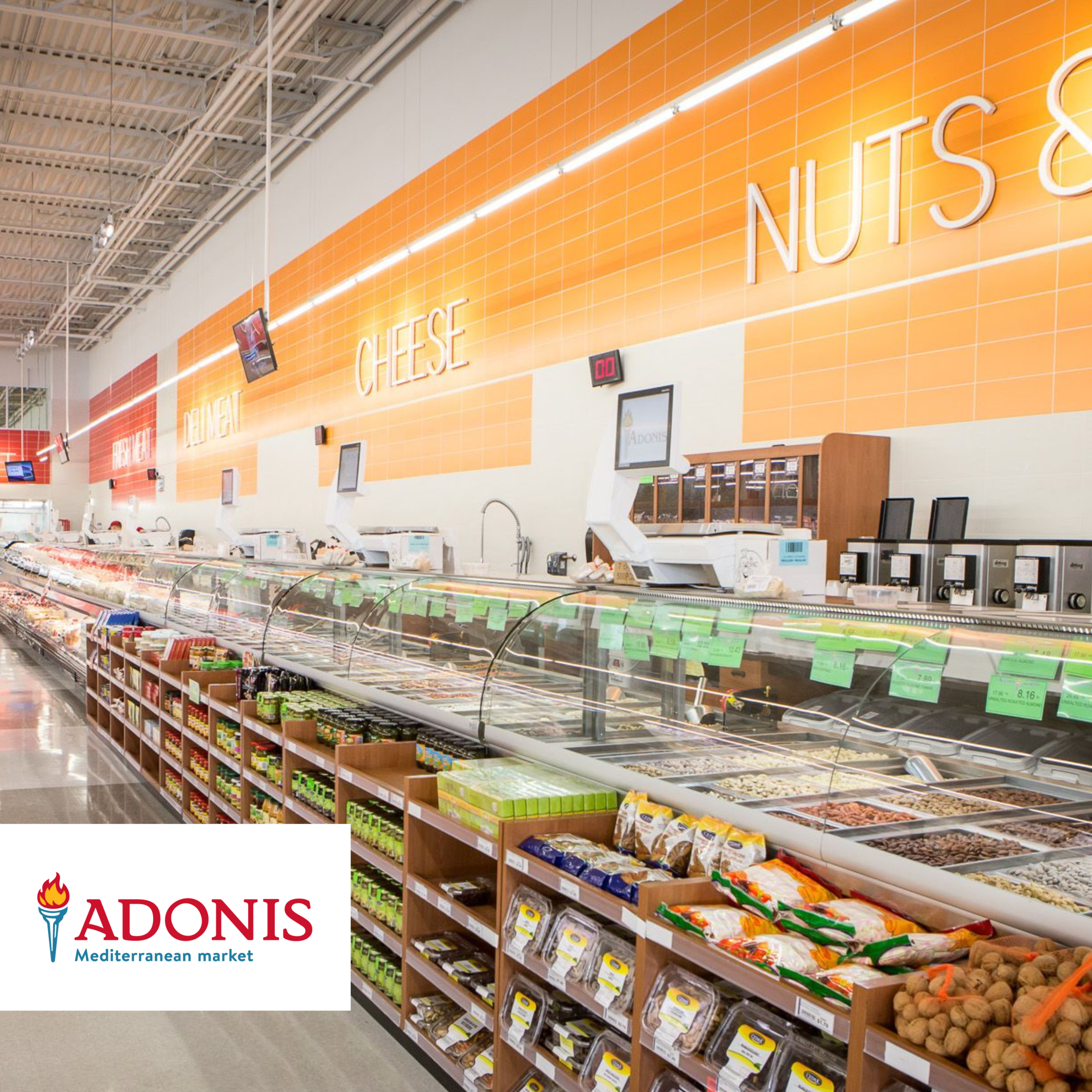 Adonis: Driving Retail Growth with Precision Targeting in the Greater Toronto Area