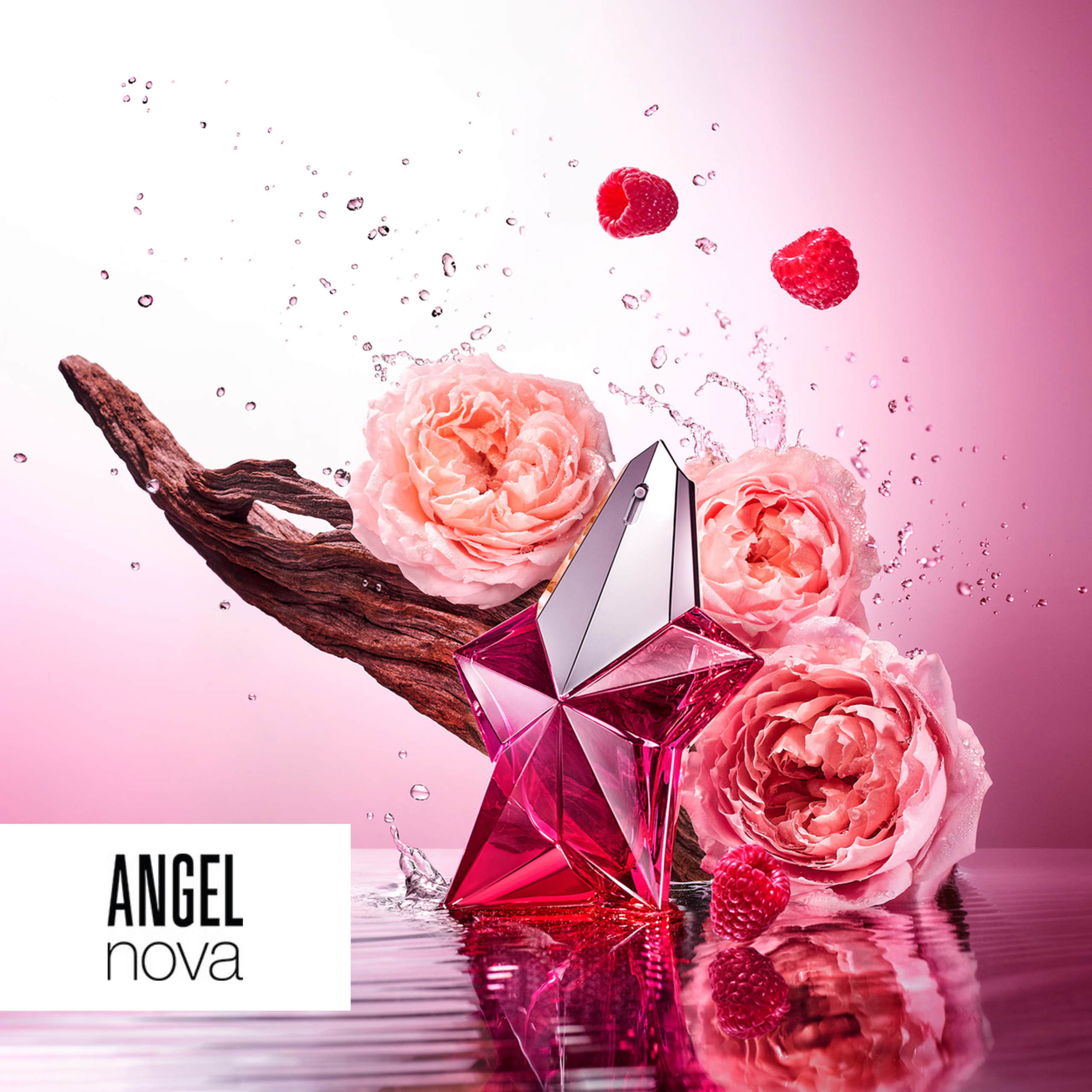 Angel Nova: Targeting Diversity, Driving Beauty Sales Across Canada