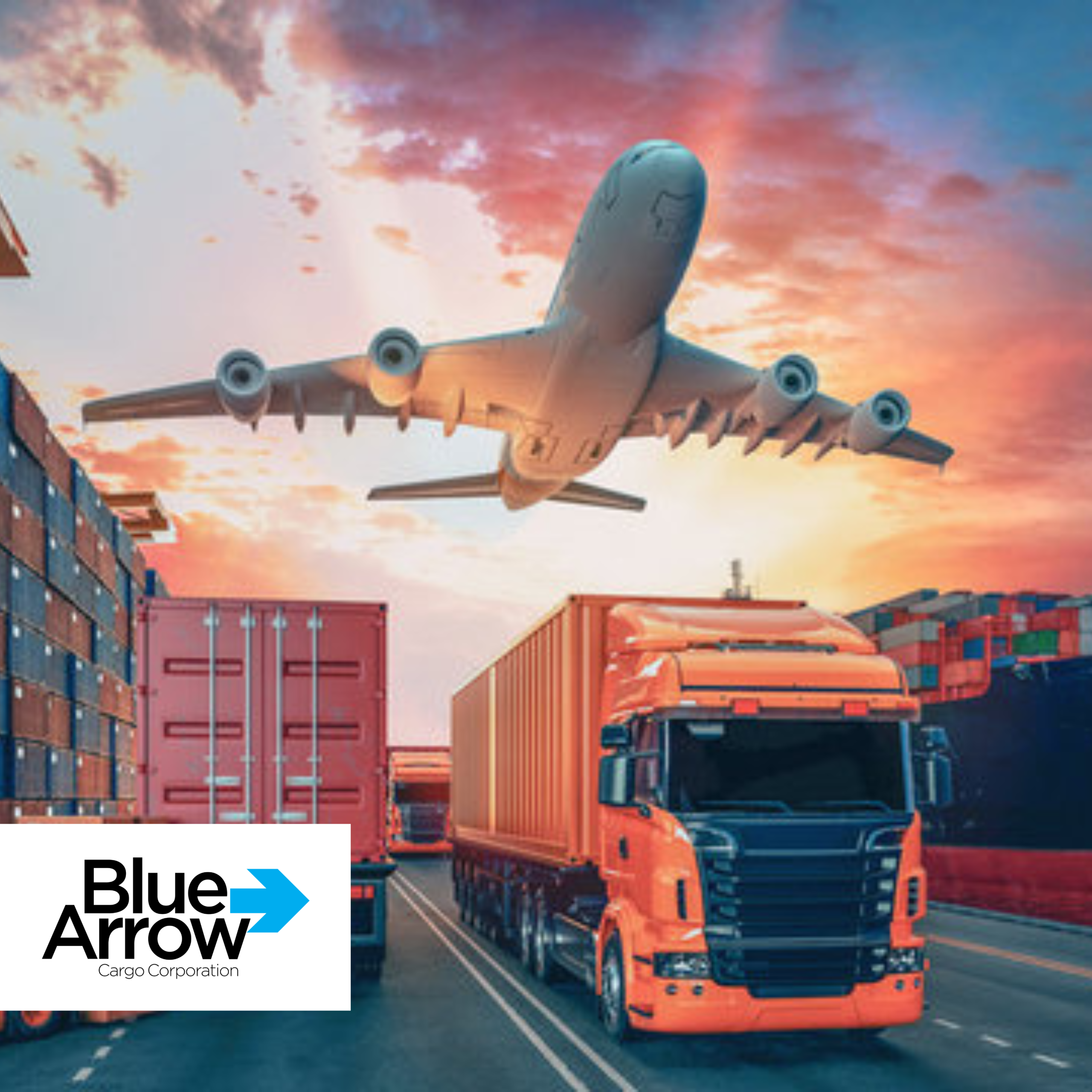 Blue Arrow: Connecting Canada and India with Seamless Door-to-Door Baggage Delivery